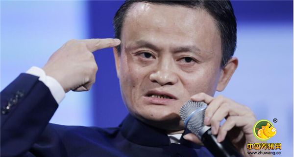 人工智能的出现让养殖有了保障，全部实施人工智能，可以大幅度的提升养猪效率，扩大养猪规模，估计到了2020年，年销量可以达到1000万  生猪养殖可以达到1000头。