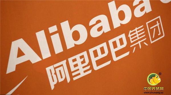 马云也要成为养猪大亨了，你看好吗？相信不久的将来，畜牧业也会被科技改变，马云养猪绝不是心血来潮而是大势所趋。科技改变生活，改变了生活他也就间接的改变了世界