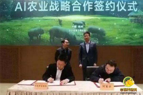 工作人员介绍说，他们首期将实现猪数量识别、行为特征识别、疾病的认识与预警、无人过磅等。他们还为猪建立登记了一个身份网站，运用这个“猪身份证”就可以知道猪的品种、日龄、体重、进食状况、运动强度等。