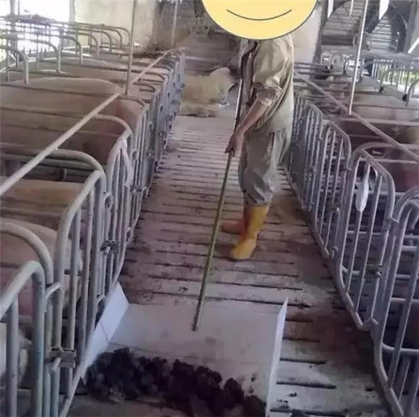 简单的改造，如图所示，用个很宽很轻的塑料制作一把专门清粪的工具。