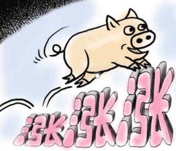 人民日报最近分析,6月或将回到6元成本线!