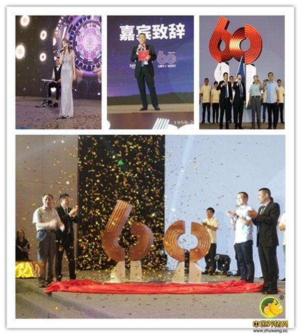 中国养猪网