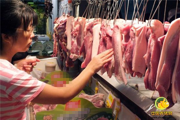 都说家养的猪肉香，那种粮食喂养的当然和饲料喂养的味道不同了，而且家养的猪肉要比饲料喂养的健康。那么怎样区分呢？下面就来看看吧！