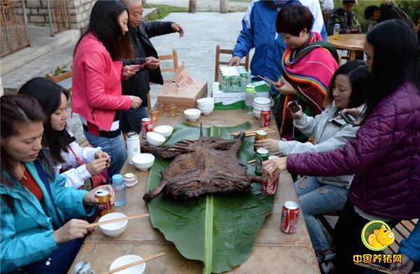 当地藏民都说，正是因为藏香猪常年生长在洁净的山中，以清泉甘露为饮，以人参虫草为食，才造就了它鲜美无比的肉味。