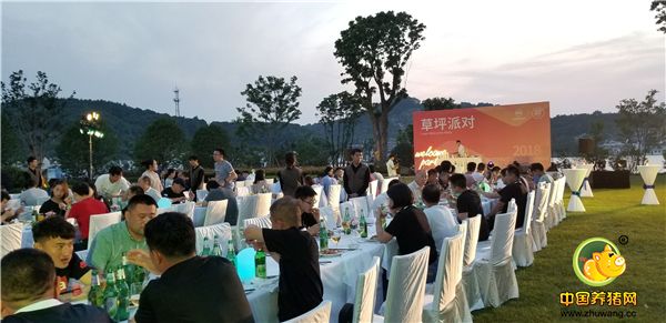 嘉宾参加草坪派对！