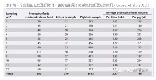 中国养猪网