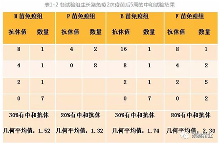 中国养猪网