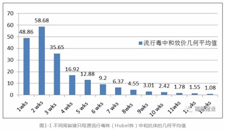 中国养猪网
