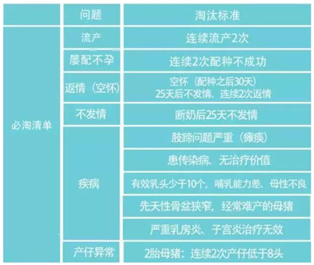 中国养猪网