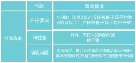 中国养猪网
