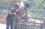 当街给猪灌水,违法行为猖獗,民警执法竟扑了空,谁在通风报信?