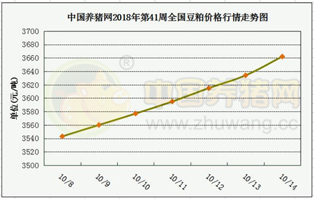 中国养猪网