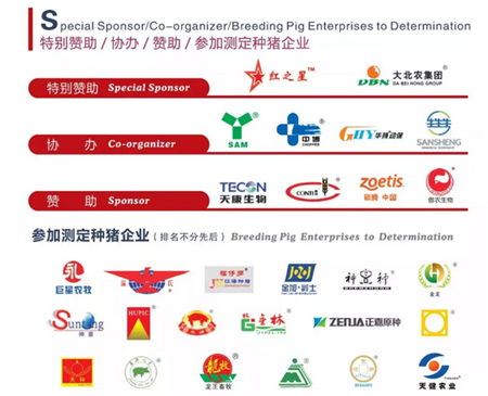 寻猪启示!寻找中国最好种公猪