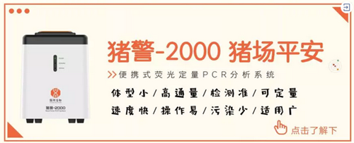 PEDV和非洲猪瘟可能在饲料中传播