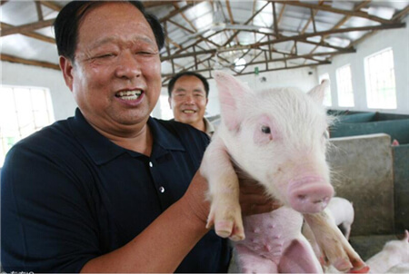 秋防少不了疫苗,加大剂量免疫是否更有效?