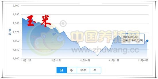 1月8日猪评:非瘟疫情如若继续蔓延 后期猪价涨幅不宜太过乐观