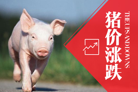 2024年03月02日全国土杂猪生猪价格行情涨跌表