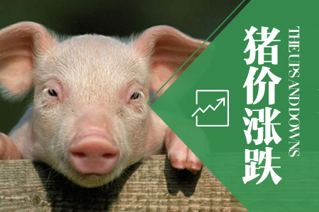 2024年05月21日全国土杂猪生猪价格行情涨跌表