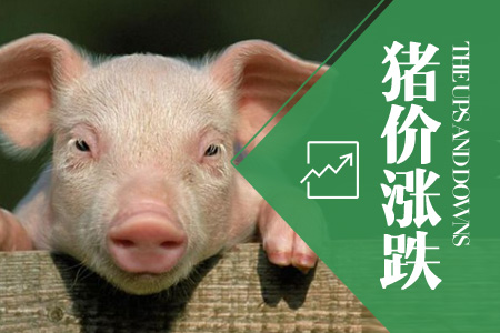 2025年03月18日全国外三元生猪价格行情涨跌表