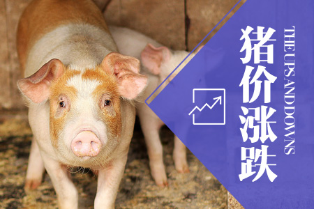 2025年03月14日全国土杂猪生猪价格行情涨跌表
