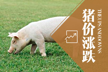 2024年03月01日全国外三元生猪价格行情涨跌表