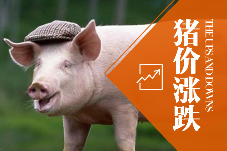2025年03月25日全国土杂猪生猪价格行情涨跌表