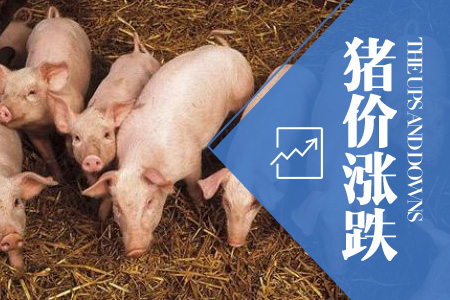 2023年12月01日全国外三元生猪价格行情涨跌表