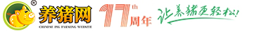 中国养猪网