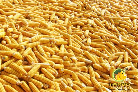 曾是中国最大玉米贸易公司？董事长孟祥久落马？