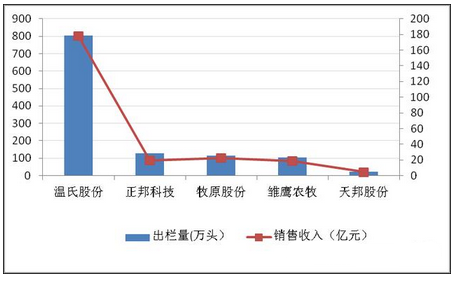 今年猪价大涨 谁养猪养得最多？钱赚的最多？