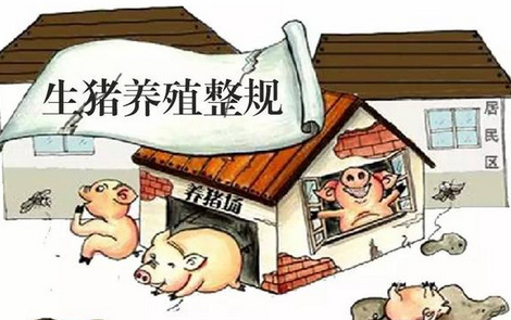 宁波实施畜禽养殖污染整治 关停搬迁养殖场4625家