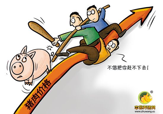 6月生猪价虽跌 但猪肉降价怕要再等数月