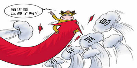 养猪户已度过阵痛期 近段猪价有望稳中有涨？
