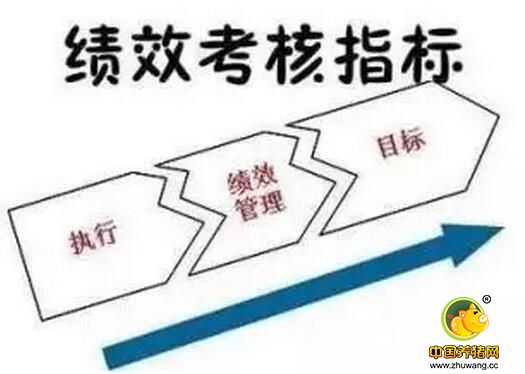 猪场绩效管理提升之放下“傲慢与偏见”！