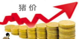 后市猪价肯定会反弹 但力度还需谨慎乐观