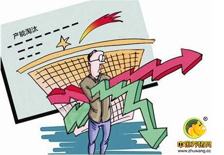 能繁母猪环比持平 生猪产能两股因素僵持