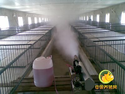 猪场消毒是提高养猪效益的关键技术