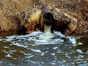 利川一养猪场老板拒不停止非法排污被拘