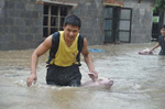 暴雨洪涝灾害给养猪业发展新增变数造成很大的损失