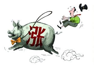 生猪将紧张 猪价有望持续上涨至明年2季度？