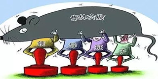 为啥猪肉进口屡创新高？洪灾到底冲毁了多少猪场？
