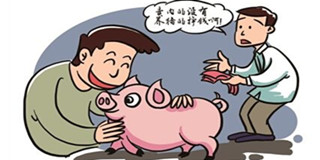 进口肉增加这么多！猪价也还能涨？