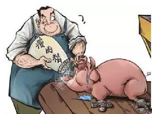 农业部：一律销毁含“瘦肉精”的生猪