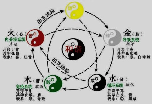 从中医脏腑相表里的角度理解猪为什么便秘