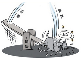 养猪市场的博弈已经来到阶段性拐点附近