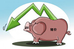 猪价连续下跌刺激养殖户抵触情绪 后期或将反弹