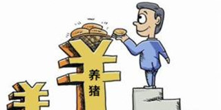 8月猪价还有一波好行情 是真的么？