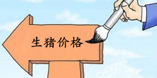 猪价反弹只是暂时的？大趋势是缓慢回落？