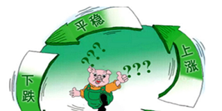 猪价周期性波动明显 独家“解密”猪周期