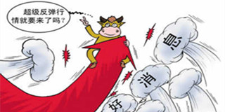 猪价年中大涨 是彻底反弹还是昙花一现？